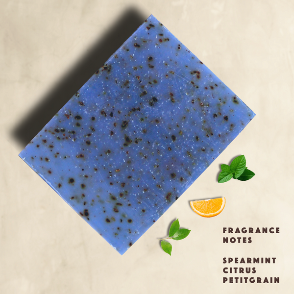 Men's Deep Sea Cleanse Soap Bar
